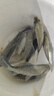 佳釣尼（JIADIAONI）絕密小懶蟲(chóng)免開(kāi)餌鮮蝦餌生鮮蝦滑蝦拉餌料秋冬魚(yú)餌鯽魚(yú)鯉魚(yú)紅蟲(chóng)餌 【免開(kāi)餌】紅蟲(chóng)蝦拉 100g*10包 曬單實(shí)拍圖