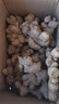 佰俏源焦作博愛懷姜土姜清化生姜姜糖膏原料期城老姜懷慶姜新鮮月子姜 家庭裝5斤 曬單實拍圖