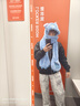 啄木鳥休閑褲男2025夏季潮流寬松直筒闊腿褲男秋季寬松百搭青少年褲子男 灰色 L 建議105-120斤 曬單實拍圖