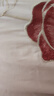 諾雪絲曼100S全棉純棉婚慶四件套花卉刺繡結婚被套床單床上用品新婚喜被 花語(yǔ)霓裳-粉 1.5/1.8m床單款(被套200*230cm) 曬單實(shí)拍圖