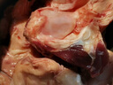 華香春內(nèi)蒙古呼倫貝爾草原散養(yǎng)牛新鮮宰殺牛窩骨肉多筋糯牛窩骨新鮮發(fā)貨 牛窩骨1斤試吃裝 曬單實拍圖