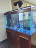 江彩魚(yú)缸客廳大型水族箱超白玻璃屏風(fēng)隔斷柜智能底濾免換水金銀龍魚(yú)缸 長(cháng)150x寬50x總高166cm+干濕分離 曬單實(shí)拍圖
