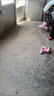 單雙可切換輪滑鞋兒童溜冰鞋男女童初學(xué)套裝中小學(xué)滑輪滑冰直排輪 PVC粉色-單閃單鞋 L 碼（鞋碼38-41）（11歲以上） 曬單實(shí)拍圖