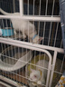 寵百思 寵物狗狗可調節小型犬貓咪項圈脖圈鈴鐺 天藍 可調節項圈（貓犬通用） 曬單實(shí)拍圖