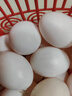 十里饞新鮮土鴿子蛋雜糧喂養農家特產(chǎn)白鴿蛋信鴿蛋孕婦寶寶年貨節禮盒裝 60枚 1220g 左右精選鮮鴿蛋 曬單實(shí)拍圖