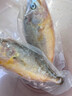 昕品方黃花魚(yú)鎖鮮大黃魚(yú)深海速凍國產(chǎn)東海大黃花魚(yú)生鮮魚(yú)類(lèi)海鮮禮盒水產(chǎn) 【優(yōu)選品質(zhì)推薦款】5條大黃魚(yú) 1斤左右1條 曬單實(shí)拍圖