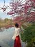 羅蒙漢服女童古裝中國風馬面裙兒童演出服 焦紅織金馬面裙兩件套 160 曬單實拍圖