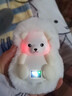 寶萊氏毛絨熊暖手寶學(xué)生充電寶兩用暖寶寶隨身便攜可愛(ài)迷你熊貓女生禮物 萌萌北極熊【1800毫安】1秒暖手 曬單實(shí)拍圖