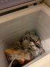 香雪海 小冰柜家用 冷凍保鮮迷你冷藏商用臥式冷柜 家用小型節能省電儲母乳冰柜兩用單溫 【一級能效 減霜款】 110L 曬單實(shí)拍圖