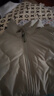 蕉下（beneunder）外套男立領(lǐng)夾克棉服氣絨戶外休閑CL18924木茶青180/100A(XL) 曬單實(shí)拍圖