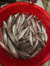 川澤浮漂套裝高靈敏夜光漂野釣鯽魚(yú)漂黑坑競(jìng)技蘆葦浮漂套裝6支 曬單實(shí)拍圖