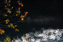 銘匠250mm F5.6折返鏡頭全畫幅適用于M42卡口轉(zhuǎn)接EF RF EOSM E Z F X L M4/3微單反相機(jī)夢(mèng)幻甜甜圈 尼康F卡口【配M42-F轉(zhuǎn)接環(huán)】 67mm 曬單實(shí)拍圖