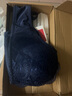 芝歌貓前扣內(nèi)衣女聚攏無鋼圈文胸套裝蕾絲性感胸罩加厚防下垂前搭扣 寶藍(lán)【一套裝-私密發(fā)貨】 L (建議105-120斤或36/80AB) 曬單實(shí)拍圖