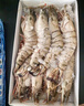 巨型活凍黑虎蝦大號燒烤生鮮蝦類海鮮水產(chǎn)夜宵越南進口 巨型6只 24-28cm 900g(凈重) 曬單實拍圖