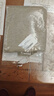 每時休閑褲女秋冬加絨加厚寬松直筒闊腿褲子女裝新款8317H卡2XL 曬單實拍圖