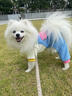 MIKI PAD寵物狗狗衣服小型犬可牽引外出背帶褲春夏幼犬衣服比熊泰迪雪納瑞 藍(lán)色口袋背帶褲 M背長(zhǎng)30cm（參考體重6-10斤） 曬單實(shí)拍圖