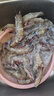 新鮮青島大蝦蝦子白蝦對蝦鮮活冷凍海鮮水產(chǎn)批發(fā)整箱 20/30規格  2.8- 3斤(凈重)  整箱3斤大蝦 曬單實(shí)拍圖