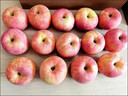 梓樂(lè )果河南靈寶寺河山蘋(píng)果SOD天然富硒紅富士脆甜冰糖心水果禮盒裝 80mm-85mm 帶箱20斤家庭裝 順豐速運 曬單實(shí)拍圖