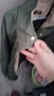 外套男士春秋新款休閑時(shí)尚短款立領(lǐng)夾克衫復(fù)古工裝服潮牌上衣服 軍綠色 2XL 曬單實(shí)拍圖