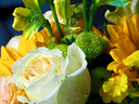 奧之心（OM SYSTEM）90mm F3.5 Macro IS PRO 定焦微距鏡頭 奧林巴斯微單相機鏡頭 等效180mm 曬單實拍圖