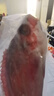 貝鮮貓紅石斑魚 鮮活冷凍整條新鮮大魚 深海大眼魚富貴魚海捕魚 紅石斑魚1.2-1.4/條*2 曬單實(shí)拍圖