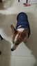冇寵秋冬狗狗衣服保暖中型犬可牽引棉衣柯基柴犬泰迪寵物休閑馬甲冬季 繡標(biāo)棉衣 藏藍色 3XL號（建議24-28斤左右） 曬單實拍圖