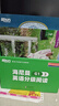 新東方 海尼曼英語分級閱讀G1-3 40套線上APP學(xué)習(xí)資源+外教音視頻 1張便攜點(diǎn)讀卡 曬單實(shí)拍圖