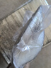 鰈魚(yú)身 格陵蘭大比目魚(yú)雅片魚(yú)新鮮整條魚(yú)身深海冷凍海鮮950-1000g 曬單實(shí)拍圖
