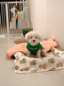 MIKI PAD狗狗衣服春秋條紋針織背心貓咪衣服小型犬夏天透氣比熊泰迪雪納瑞 萌趣云朵毛衣 XL 胸圍48cm(參考體重15-20斤) 曬單實拍圖