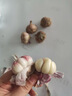 辰實【新干蒜】云南三丫蒜  紫皮大蒜 大理三瓣蒜大果 大蒜頭臘八蒜 2斤云南三瓣蒜 曬單實拍圖
