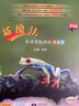 新啟翔 啟思英語 RASS小學英語入門書 Go!Sight Words玩轉(zhuǎn)常見詞 幼兒啟蒙點讀書 啟思英語 常見詞A+B(2書+2卡片) 曬單實拍圖