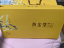 【半斤倆罐】2025新茶正宗黃金芽安吉珍藏白茶茶葉濃香綠茶袋裝罐 250g禮盒裝【五罐】 罐裝 曬單實(shí)拍圖