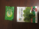 四季大葉菠菜種子耐熱夏季紅根小葉波菜種籽高產(chǎn)新種秋冬季蔬菜孑 四季大葉菠菜種子【當(dāng)季新種】 精選：【1包1008?！?贈(zèng) 曬單實(shí)拍圖