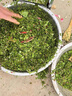 沃農(nóng)賽德 碎菜機(jī)碎草機(jī)喂雞鴨鵝豬養(yǎng)殖家用電動(dòng)瓜草蔬菜切菜機(jī)打菜機(jī) 全包圍機(jī)艙-純銅電機(jī)1600W送刀片 曬單實(shí)拍圖