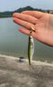 達瓦逐鹿微物路亞竿馬口白條碳素超軟溪流竿全套釣魚(yú)裝備UL L調翹嘴套裝 1.68米 UL槍柄左手搖水滴輪套裝 曬單實(shí)拍圖