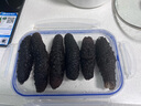 宮品有機(jī)淡干海參3A半斤250g20-35只 威海底播刺參干貨 特產(chǎn)禮盒 曬單實(shí)拍圖