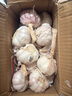 【2024年鮮蒜批發(fā)價(jià)】 新蒜頭紅皮紫皮大蒜嫩蒜新鮮濕蒜腌糖醋蒜 2024年現(xiàn)挖鮮蒜[補(bǔ)貼5元]沖量 1kg 帶箱5-5.5斤大果 曬單實(shí)拍圖