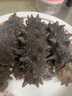 薩哈林俄羅斯野生即食海參 原料進(jìn)口六排刺高參齡無添加高品質(zhì) 2斤16只 禮盒裝 曬單實(shí)拍圖