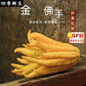 閩域?qū)r金佛手鮮果香櫞佛手當(dāng)季稀奇古怪水果新鮮可食用佛手瓜金黃佛 1斤精選果【單果約1斤左右】 曬單實(shí)拍圖