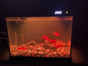 森森金麟超白智能魚(yú)缸小型桌面免換水生態(tài)魚(yú)缸一體缸自循環(huán) 【森森金麟】380 純黑尊享版標配 曬單實(shí)拍圖