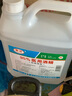 衡潔（hengjie）95%酒精燃料乙醇火療火罐專(zhuān)用皮膚消毒 95度2500ml 曬單實(shí)拍圖