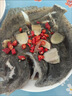 塔西特新鮮冷凍多寶魚活凍海鮮水產(chǎn)新鮮比目魚海魚冷凍八寶魚 1-1.2斤2條 曬單實拍圖