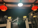 御尚登新款春節(jié)全銅燈籠吊燈中式戶外大門口裝飾結(jié)婚喜慶過(guò)年大紅燈籠 全銅金福40CM 曬單實(shí)拍圖