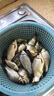 武漢天元鄧剛天元鯽腥香版鯽魚(yú)餌料秋冬季野釣專(zhuān)用垂釣釣魚(yú)魚(yú)餌 天元鯽【300g】 3包裝 曬單實(shí)拍圖