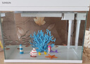 森森超白魚(yú)缸過(guò)濾制氧一體機自循環(huán)客廳水族箱桌面懶人小型玻璃 超白玻璃 380珊瑚景（贈豪華濾材+棉） 曬單實(shí)拍圖