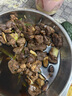 桃西村現(xiàn)殺新鮮鹿肉鹿肩肉鹿腱子肉鹿腿肉鹿腩鹿排生鮮食材 現(xiàn)殺鹿腱子肉6斤 曬單實拍圖