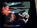 伊黛兒柿柿如意胸針高檔女新貝珠胸花蝴蝶結(jié)小眾別針女胸花飾品七夕禮物 H242心想柿橙胸針套裝 曬單實拍圖