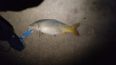 SHIMANO禧瑪諾24款VANFORD CI4+萬福德路亞輪磯釣紡車輪魚輪淡海水用 24款/3000MHG-速比5.7/中線杯 曬單實拍圖