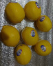優(yōu)味集【JD速達(dá)】高端品種進(jìn)口黃檸檬新鮮薄皮香水鮮檸檬果泡水佳果 2500g凈重裝（40%選擇-性價(jià)比） 【A+級】商超精品單果110-140g 曬單實(shí)拍圖