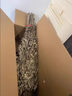 平直堂端午節(jié)新鮮艾草花束門(mén)掛干艾葉整棵艾草野生艾葉草干帶桿莖洗泡腳 整顆干艾葉約120顆 曬單實(shí)拍圖